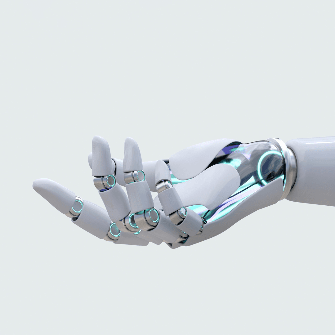 Web Design & Development